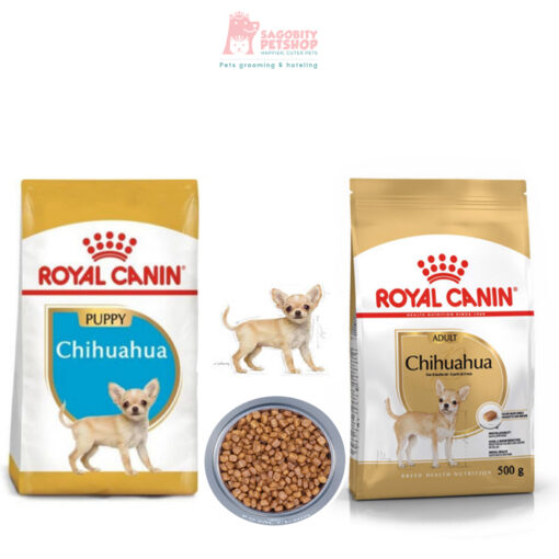 Thức ăn hạt chó Chihuahua Adult Royal Canin