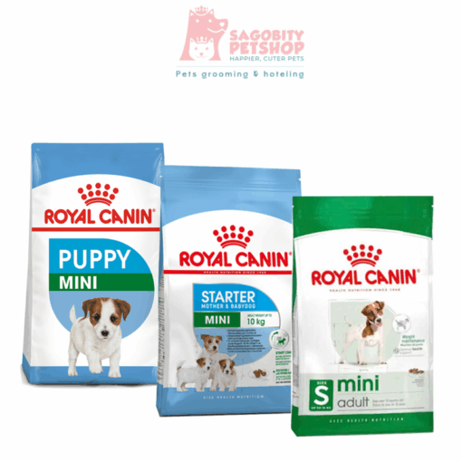 Thức ăn hạt dành chó kích cỡ Mini - ROYAL CANIN