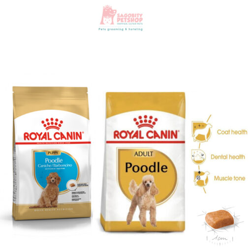 Thức ăn hạt chó Poodle Royal Canin
