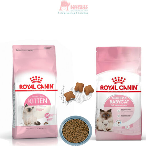 Thức ăn hạt mèo mẹ và mèo con (4-12 tháng) ROYAL CANIN