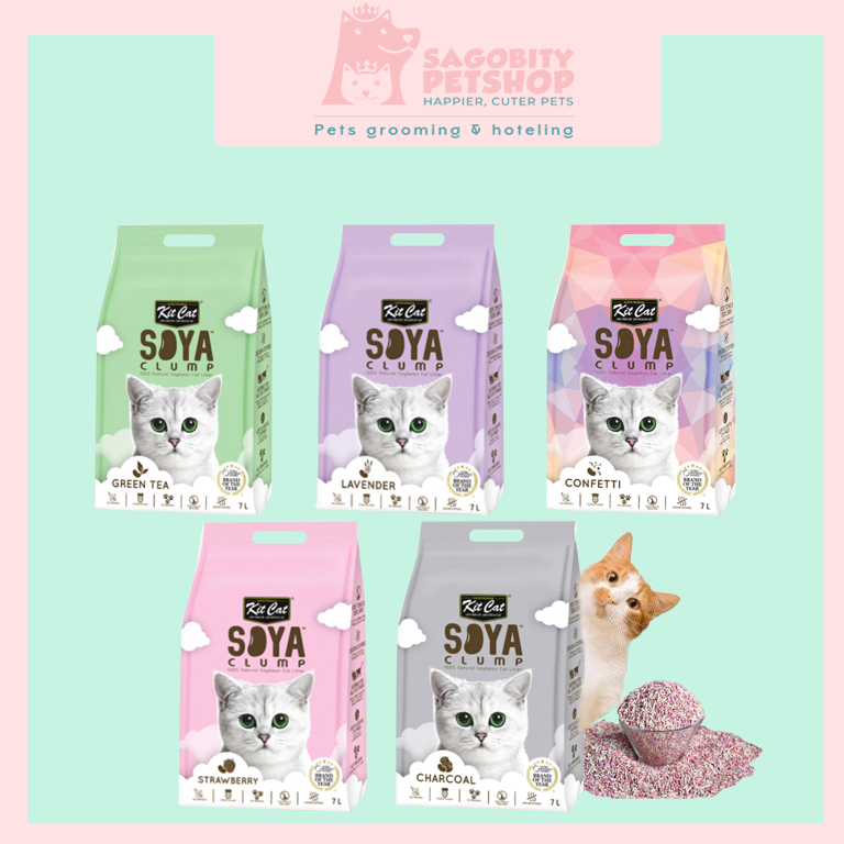 Kitcat cat dau nanh total