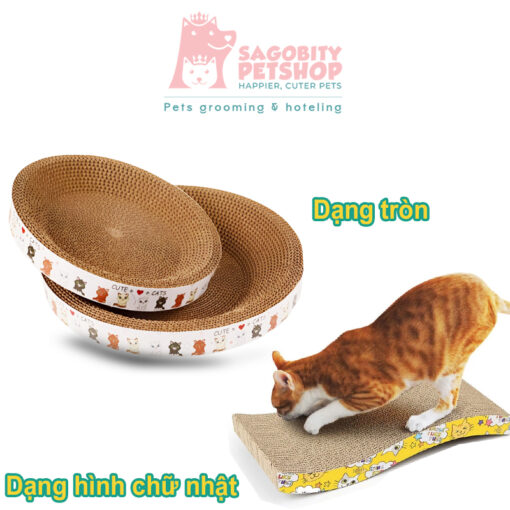 Bàn cào móng mèo
