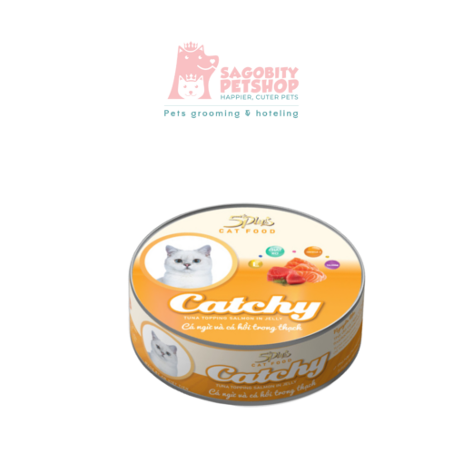 Pate CATCHY5plus -mèo 160g - Hộp
