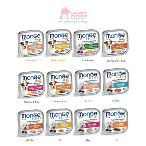 Pate cho chó MonGe Fresh-100gr