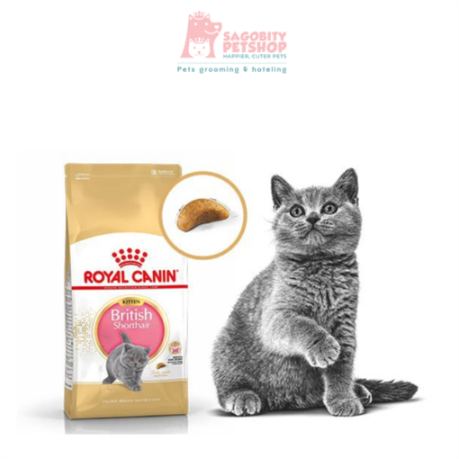 Thức ăn hạt cho mèo Anh lông ngắn - Mèo con - Gói