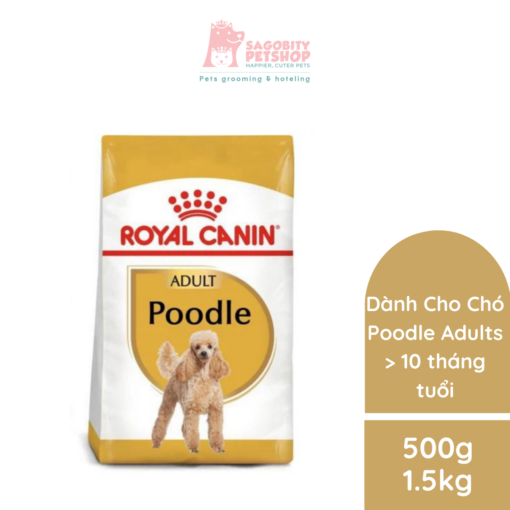 Thức ăn hạt chó Poodle Adult Royal Canin - Túi