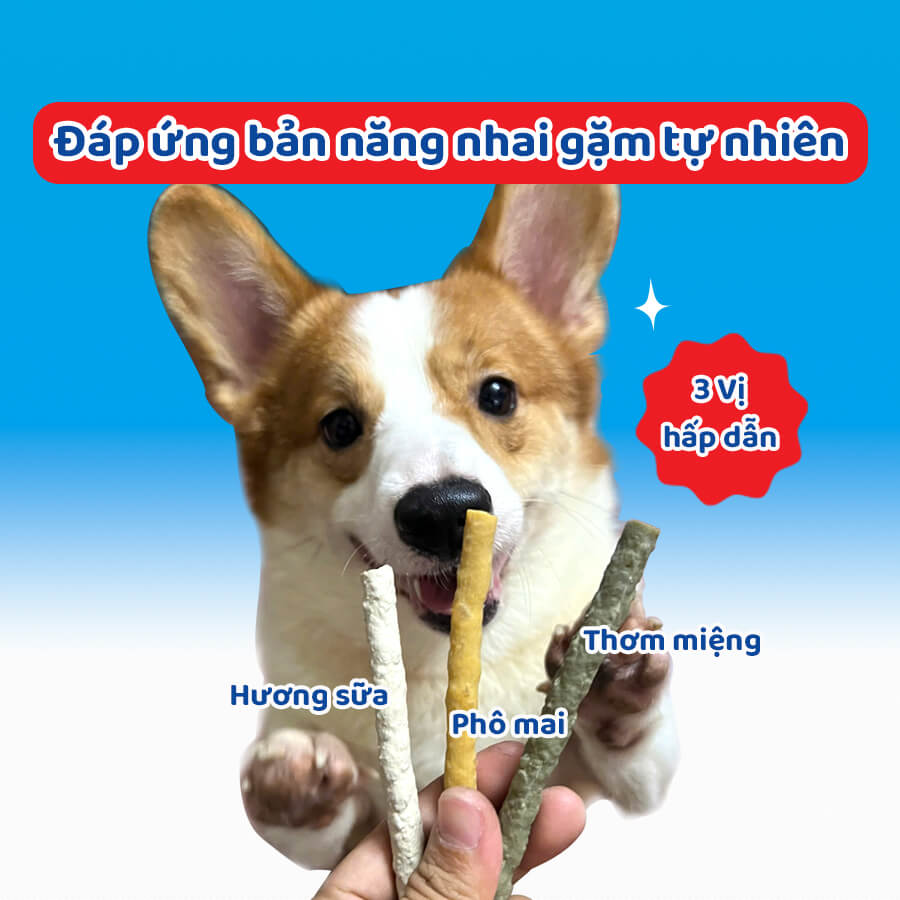 81942-que-da-da-bo-huong-thom-mieng-doggyman-08