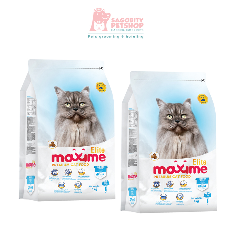 maxime1 (1)