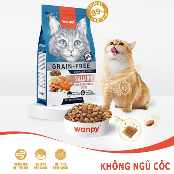 wanpy meo 2