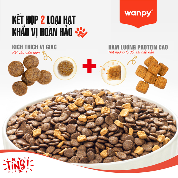 wanpy meo 5